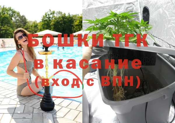 прущая мука Арсеньев
